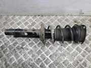 Stoßdämpfer vorne links AUDI A3 Sportback (8YA) 30 TFSI