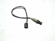 Sauerstoffsensor (Lambdasensor)