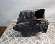 Luftfiltergehäuse Nissan Juke (F15)