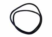 Türgummi rechts vorne VW Tiguan I (5N)