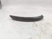 Türverkleidung rechts hinten BMW X5 (E53) 8262813