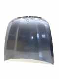 Motorhaube BMW X5 (E70) xDrive 50 i