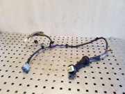 Türverkabelung hinten rechts