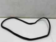 Dichtungsgummi der hinteren Tür (an der Karosserie) BMW 2 Active Tourer (U06) 218i