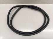 Türdichtung Opel Grandland X (A18)