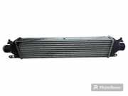 Ladeluftkühler OPEL COMBO Furgon/Estate (X12) 1.4 866455500