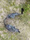 Radhaus links vorne Ford Mondeo III Stufenheck (B4Y) 1S7116115