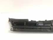 Grill Windlauf Toyota RAV 4 II (A2) 5570842100