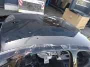 Dach mit Sonnendachausschnitt Audi A4 (8W, B9)