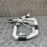 Airbag Dach rechts Tesla Model X (5YJX) 103675900E