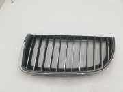 Kühlergrill komplett BMW 3er Touring (E91) 22405910
