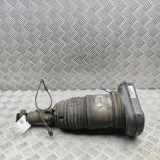Rear right pneumo shock absorber BMW X5 (G05) xDrive 30 d 6869048