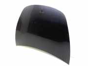 Motorhaube TESLA MODEL 3 EV AWD 1081390-E0-C PMNG
