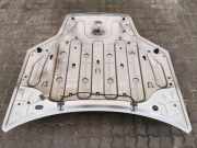 Motorhaube RENAULT LAGUNA Coupe (DT0/1) 1.5 dCi