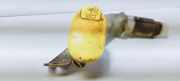 Wischwassertankhals RENAULT MEGANE I (BA0/1_) 1.6 e (BA0F, BA0S) 7700835445