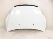 Motorhaube FORD FOCUS II Turnier (DA_) 1.8 TDCi