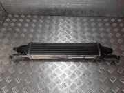 Ladeluftkühler OPEL CORSA D 1.3 CDTI 440926702