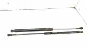 Heckklappe Gasdruckfeder links RENAULT LAGUNA III Grandtour (KT0/1) 2.0 dCi (KT01, KT09, KT12, KT1S) 844310002R