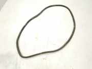 Türgummi links vorne Mercedes-Benz C-Klasse Coupe (C205) 2056363700