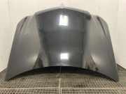 Motorhaube MERCEDES-BENZ E (W212) E 220 CDI / BlueTEC (212.001, 212.002) 2051022395