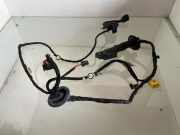 Kabel Tür Audi A4 Avant (8E, B7) 8K0971030