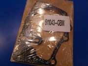 Wasserpumpe RENAULT MEGANE II (BM0/1_, CM0/1_) 1.6 16V (BM0C, CM0C) 7700105176 GRAF