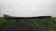 Zierleiste Windschutzscheibe Frontscheibe MERCEDES-BENZ E (W213) E 220 d (213.004) 4522