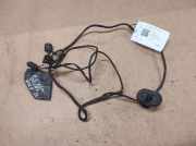 Kabelbaum Citroen C5 III (RD) 20100761