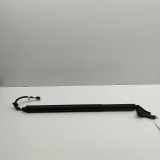 Heckklappe Gasdruckfeder rechts AUDI E-TRON Sportback (GEA) 50 quattro 4KE827851F