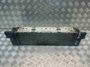 Ladeluftkühler BMW X3 (F25) xDrive 20 d 17517823570
