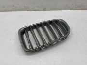 Vorderer oberer Gitter BMW X1 (E84) xDrive 23 d 2993307