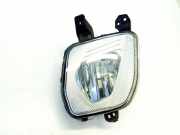 Nebelscheinwerfer links FORD FIESTA VII 1.0 EcoBoost H1BB-15A255-AB