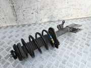 Stoßdämpfer vorne links