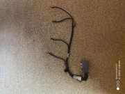 Glühkerzenkabel CITROËN C5 III (RD_) 2.0 HDi 9653811880