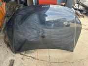 Motorhaube VW TIGUAN (5N_) 1.4 TSI 4motion