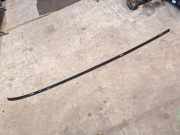 Dachleiste links BMW X5 (E70) xDrive 30 d