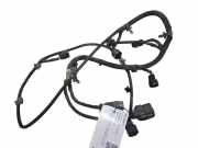 Kabelbaum Kia Sorento II (XM) 918922P080