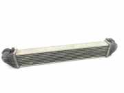 Ladeluftkühler Mercedes-Benz A-Klasse (W169) A1695000000