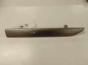 Armaturenbrett Verkleidung