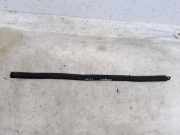 Türgummi links vorne BMW 3er Coupe (E92)