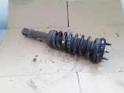 Stoßdämpfer hinten rechts