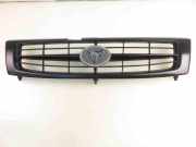 Ziergitter Hyundai Galloper II (JK-01)