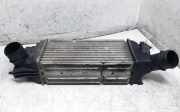 Ladeluftkühler PEUGEOT 407 SW (6E_) 2.0 HDi 135 874823NJ