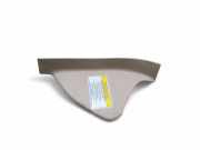 Armaturenbrett Seitenverkleidung MERCEDES-BENZ SL (R231) 500 (231.473)