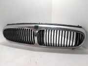 Kühlergrill oben Jaguar X-Type (X400) 1X435510AH