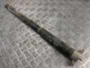 Stoßdämpfer hinten rechts