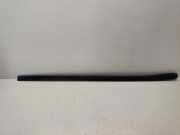 Zierleiste Windschutzscheibe Frontscheibe MERCEDES-BENZ R (W251, V251) R 320 CDI 4-matic (251.022, 251.122) A2516905062