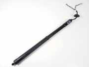 Heckklappe Gasdruckfeder rechts INFINITI FX 30d AWD 905603FY0B 905603FY0A