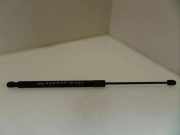Heckklappe Gasdruckfeder links MERCEDES-BENZ B (W245) B 200 CDI (245.208) 0460N