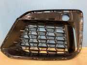 Gitter vorne unten BMW 5 (G30) 520 d 8098669